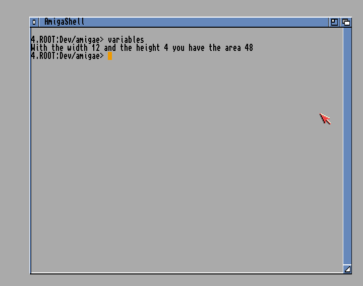 Investigating variables in Amiga E