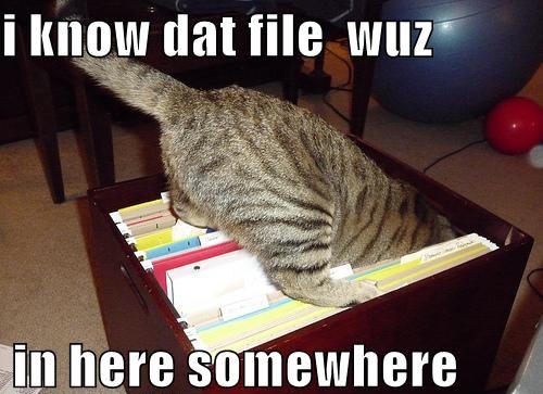I know that file was in here somwhere - cat picture